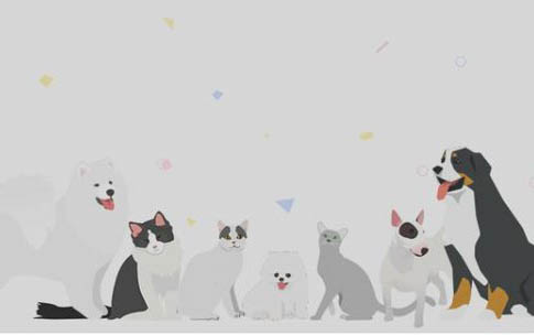 小狗一般得了犬瘟和冠状还能活多久