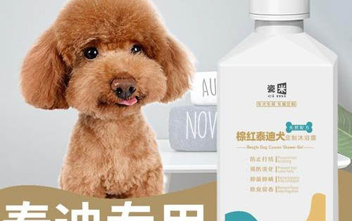 狗狗能不能吃海苔饼干