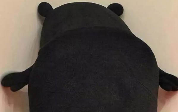 猫咪晕车到底多久可以恢复啊