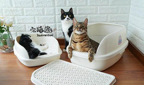 灭害灵对猫咪有害吗