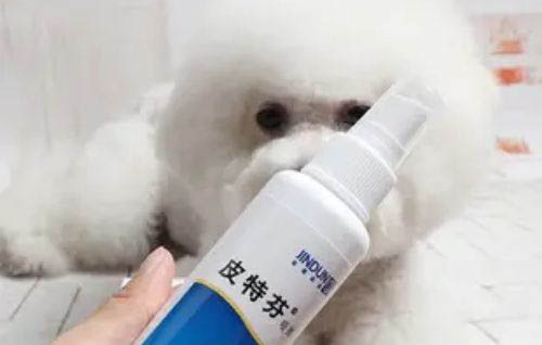 狗狗拉稀可以打疫苗吗？