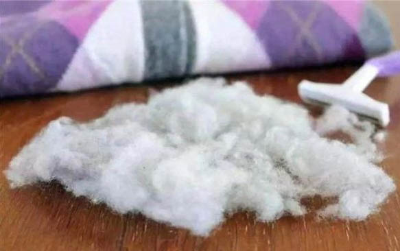 请问猫咪呕吐的原因及处理方法