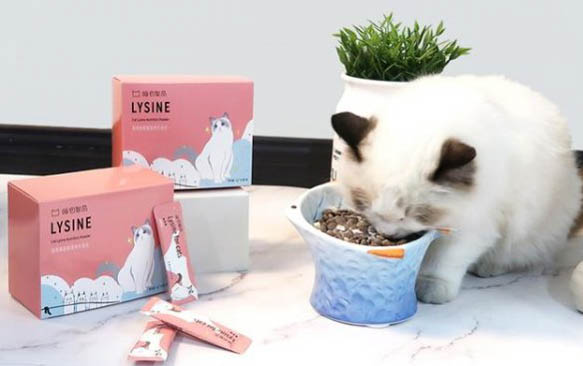 小猫睡觉呼吸急促是怎么回事