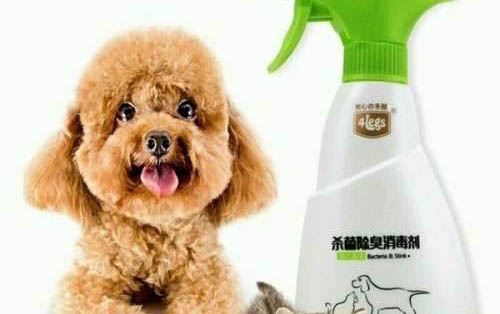 狗狗髋骨术后保健