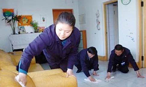 猫咪一直发出呼噜声还一直冲我叫