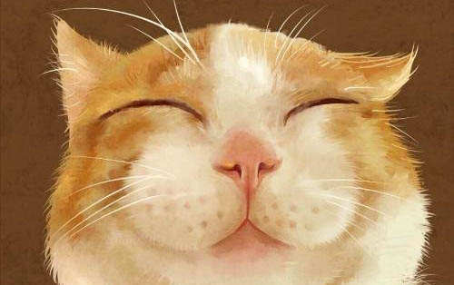 小猫咪经常打喷嚏是怎么回事