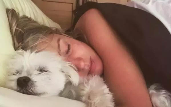 狗狗晚上不睡觉异常兴奋怎么回事