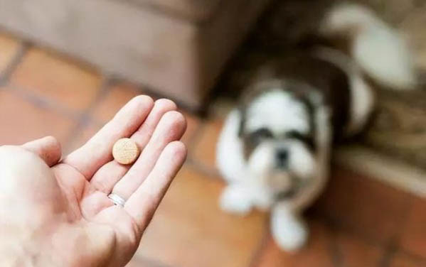 狗狗能吃猫的营养膏吗