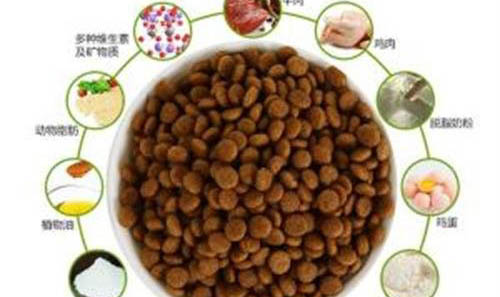 怎么判断狗身上有蜱虫