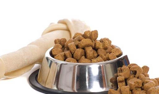 可以代替狗粮的食物有哪些?